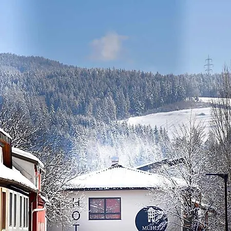 酒店 Muehle #10 Reichenfels